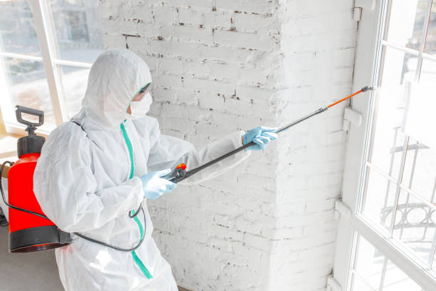 Mold Remediation for Rental Properties in Wilmington, IL